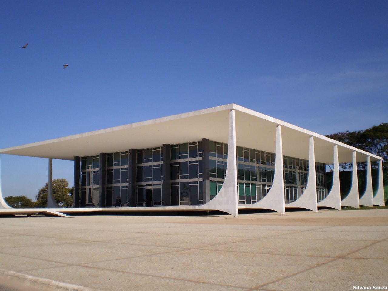 Briefing: Corrida eleitoral e decisões no STF dominam o debate