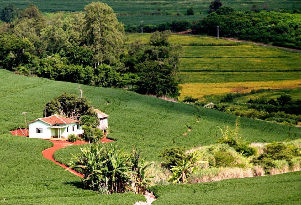 Julgamento sobre compra de terra por empresa brasileira controlada por estrangeiro continua nesta quinta (19)