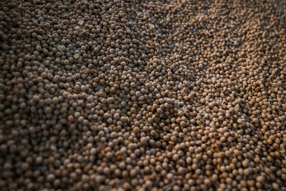 Agroindústria acelera e lidera crescimento do agronegócio em São Paulo