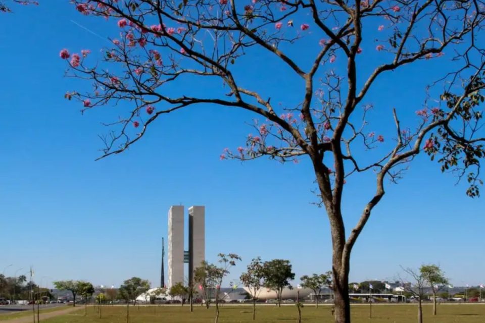 Quais as pautas do Congresso em 2026?