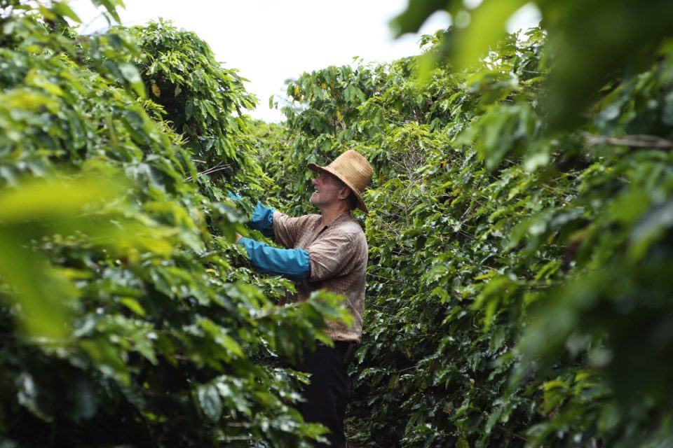 Câmara avança em projeto que equipara agricultores de subsistência a extrativistas