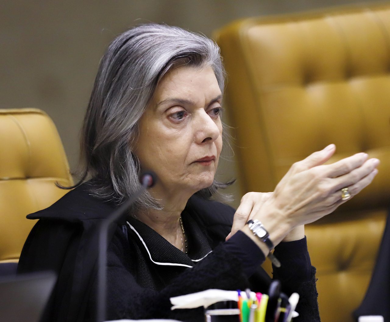 STF anula lei que obrigava divulgação de canais para denunciar maus-tratos a animais